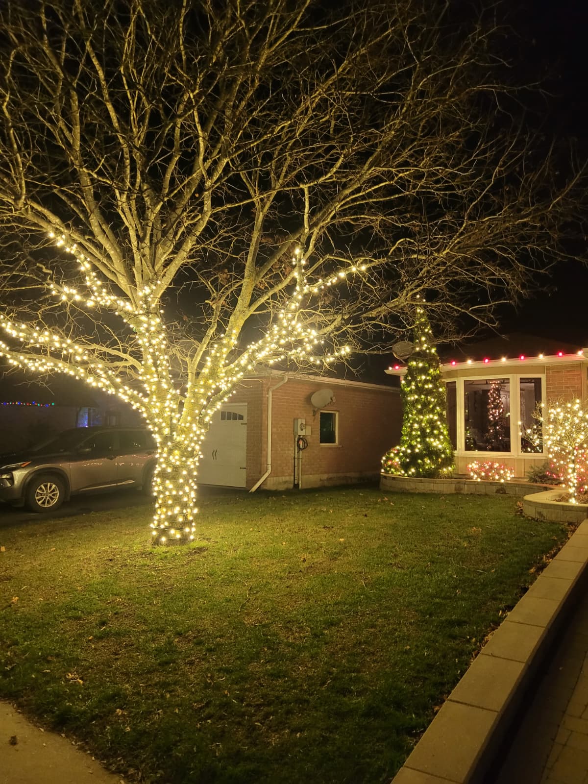 WhatsApp Image 2025-11-26 at 8.49.57 PM